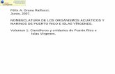 Félix A. Grana Raffucci. Junio, 2007. NOMENCLATURA DE LOS …drna.pr.gov/historico/biblioteca/publicaciones/tecnicas/cnid01.pdf · Aurelia aurita(Linnaeus, 1758) aurelia, aguaviva,