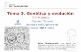 Tema 3. Genética y evolución - dpbiologia.weebly.comdpbiologia.weebly.com/uploads/2/1/5/5/21553524/gtp_t3.genética__3... · IMAGEN: en.wikipedia.org/wiki/Oscar_Hertwig. NATURALEZA