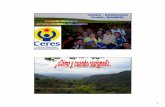 ANTECEDENTES - Inicio - Ministerio de Educación Nacional ... · 4 Y una alianza institucional para el desarrollo regional Ministerio de Educaci ón U. la Gran Colombia Armenia INTEP