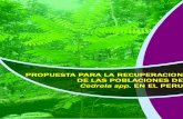 Propuesta para la recuperación de las poblaciones de Cedro. Propuesta para la... · Propuesta para la recuperación de las poblaciones de “Cedrela spp.” en el Perú -2- 2.- ANTECEDENTES