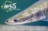 #Arapaima gigas #Paludario #Cria del Escalar #Reproducción ...aquaticnotes.com/content/pub/ES/argos1.pdf · Pocos artículos nos gustan más a los acuaristas que aquellos en los