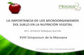 LA IMPORTANCIA DE LOS MICROORGANISMOS DEL SUELO EN LA ... · intencionada selectividad sobre la composición de ... alternativa para la agricultura en México. INIFAP, Folleto ...