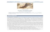 CLASE DIPLOPODA Orden Polydesmida - sea-entomologia.orgsea-entomologia.org/IDE@/revista_28.pdf · Para identificar las especies es necesario estudiar la morfología del gonópodo.