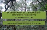 LA CONSERVACIÓN DE LA BIODIVERSIDAD COMPONENTE …biblioteca.semarnat.gob.mx/janium/Documentos/Ciga/Libros2014/CD... · La guía se basa en las Directrices OIMT/UICN para la conservación