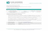 Grupo Financiero Galicia S.A. - evaluadora.comevaluadora.com/ar/usr/archivos/998_Grupo Financiero Galicia.pdf · sistema financiero representaron 131% de la cartera en situación