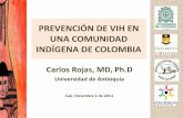 VIH en pueblos indígenas de América - Corporación de Lucha … · 2014-10-23 · Salud de los pueblos indígenas en Colombia •En comparación con el promedio del país: ... •4