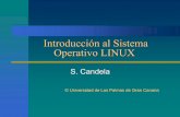 Introducción al Sistema Operativo LINUX - sopa.dis.ulpgc.essopa.dis.ulpgc.es/ii-dso/leclinux/introduccion/estkernel/estkernel.pdf · (C) Universidad de Las Palmas de Gran Canaria