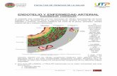 ENDOTELIO Y ENFERMEDAD ARTERIAL - academia.utp.edu.coacademia.utp.edu.co/basicoclinica/files/2018/09/ENDOTELIO-Y... · Robbins y Cotran. Patología Estructural y Funcional. 8Ed. 4.