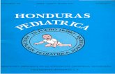 DELINCUENCIA JUVENIL - cidbimena.desastres.hncidbimena.desastres.hn/RHP/pdf/1992/pdf/Vol15-2-1992.pdf · Palabras claves: Alimentación del recién nacido de bajo peso. ... estimulación
