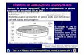 SÍNTESIS DE AMINOÁCIDOS HOMOQUIRALES - webs.ucm.es · Prof. A. R. Alcántara, Grupo de Biotransformaciones, Facultad de Farmacia, UCM SÍNTESIS DE AMINOÁCIDOS HOMOQUIRALES. 3 ...