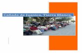 Tierra Blanca Cañada de Juanicadesarrollosocial.guanajuato.gob.mx/files/indigenas/monografias... · Hoy!se!tiene!unpozode!galería!filtrante!que!da!abastecimiento!a!la!población!gracias!