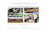 Patrimonio Cultural Inmaterial del Paraguay Duarte · 6 Introducción: Proceso de definición y reconocimiento del patrimonio cultural intangible Durante los años noventa, la Comisión