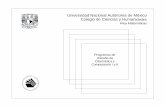 Universidad Nacional Autónoma de México Colegio de Ciencias … · aprovechamiento de las herramientas computacionales en la solución de problemas. ... a través del diseño de