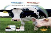 ANTIBIOTERAPIA INYECTABLE EN PROCESOS … · Seguridad y rentabilidad s B A P ... Tras administración intramuscular o subcutánea en bovino o porcino a la dosis recomendada de 2
