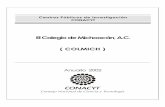 El Colegio de Michoacán, A.C. ( COLMICH )2006-2012.conacyt.gob.mx/Centros/COLMICH/ANUARIO COLMICH 2002.pdf · del Carmen Territorialidades emergentes en el ... Recursos Financieros