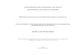 José Luis Ruiz Soto - Repositorio Digital USFQ: Página ...repositorio.usfq.edu.ec/bitstream/23000/1199/1/100931.pdf · Resumen El presente ... 8 CAPITULO II ... 3.3.1.3 Modelo "COSHH