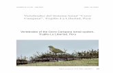 Vertebrados del Sistema lomal “Cerro Campana”, Trujillo-La ...upao.edu.pe/Museo/pdf/13 Vertebrados del Sistema lomal.pdf · de las lomas del Perú, Iguanil, de Atiquipa y Mejía,