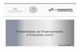 Posibilidades de Financiamiento a Empresas Junior FRANCO.pdf · pétreos, rocas dimensionables. - Comercialización de minerales metálicos y no metálicos.
