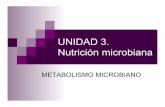 UNIDAD 3. Nutrición microbiana - [DePa] Departamento de ...depa.fquim.unam.mx/amyd/archivero/9MetabolismoMicrobianoModif... · Actividad de la enzima Temperatura Actividad de la