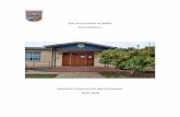 ESCUELA NUEVA AURORA PICHI ROPULLI -  · Institucional de la Escuela Nueva Aurora de la comuna de Paillaco. En el se plantean los principales elementos y orientaciones estratégicas