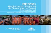 RESSOw.codelco.cl/prontus_codelco/site/artic/20110719/asocfile/... · El organigrama de la gestión de Seguridad y Salud en el Trabajo en las Faenas, Divisiones y Proyectos de Codelco
