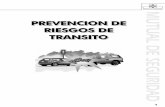Prevenci n de Riesgos de Transito - ingenieroambiental.comingenieroambiental.com/4023/25_prevencion de riesgos de transito.pdf · Otras Sustancias Deteriorantes de la Normalidad Física