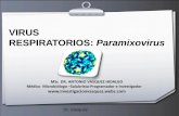 VIRUS RESPIRATORIOS: Paramixovirus · Consecuencias clínicas de la infección por virus del sarampión Enfermedad Síntomas Sarampión Exantema macuiopapuloso característico, tos,