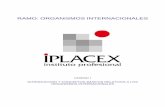 RAMO: ORGANISMOS INTERNACIONALESbiblioteca.iplacex.cl/MED/Organismos internacionales.pdf · de derecho internacional público, destinada a cumplir los objetivos y funciones que le