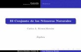 El Conjunto de los Números Naturalesalgebra.carimobits.com/Material del Curso/algebra1_numeros... · m aximo comun divisor (MCD) m nimo comun multipl o (mcm) Rivera-Morales, Carlos