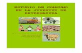 ESTUDIO DE CONSUMO EN LA JUVENTUD DE EXTREMADURA · Estudio sobre el Consumo en la Juventud de Extremadura 2 Índice: 1.- Planteamiento del estudio realizado. 1.1.- Introducción.