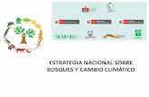 ESTRATEGIA NACIONAL SOBRE BOSQUES Y CAMBIO …interclima.minam.gob.pe/Presentaciones/2015/Dia3/Plenaria/... · Invernadero (GEI) en el Perú. Deforestación: Escenario Actual ...