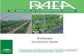 R.A.E.A. - Junta de Andalucía · la implantación poco a poco de nuevos sistemas de cultivo ... Ha de fresas re p a rtidas en unas 2.000 ... de cultivo sin suelo sobre sustrato de