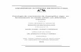 UNIVERSIDAD AUTÓNOMA METROPOLITANA Fisiología de ...148.206.53.84/tesiuami/UAMI17016.pdf · fisiología de crecimiento de Aspergillus niger CH4 en fermentación en medio sólido