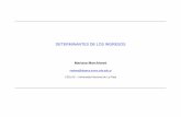 9. Ejemplo Determinantes de los ingresos | E | D | L | A | S Mariana Marchionni – Determinantes de los ing resos – - 4 Ejemplo: β1 > 0, β2 < 0 • La función de ingresos