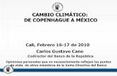 CAMBIO CLIMÁTICO: DE COPENHAGUE A MÉXICO la Unión Europea Transacciones Corporaciones pueden comprarse y venderse CER s para cumplir metas: EUETS (European Emissions Trade System)
