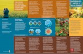 TRES COSAS 1. Monsanto contribuye a una MONSANTO ... · MITOS Y REALIDADES ... Esta guía ofrece un conjunto de datos objetivos sobre Monsanto, así como ... y apoya a la salud de
