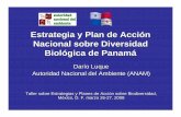 Estrategia y Plan de Acci ón Nacional sobre Diversidad Biol ógica … · Nacional de Biodiversidad de Panam ... nacional, esta dispersa en varias instituciones . • Implementación