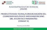 Autoridad Nacional del Ambiente (ANAM) Corredor Biológico …produccionsostenibleybiodiversidad.org/wp-content/documentos/... · productores rurales de baja escala en Panamá. ...