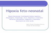 Hipoxia fetoneonatal: Encefalopatía hipóxico-isquémica ...campus.usal.es/~ogyp/Clases teoricas 2014 2015/Neonatologia/Hipoxia... · Volumen de líquido amniótico (oligohidramnios).