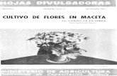 CULTIVO DE FLORES EN MACETA · Uno de ellos, el más barato, es el cultivo de flores en maceta, que no re^quiere más que aire, sol, agua y tierra, los que, co^nvenientemente utilizados,