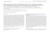 Eficacia de la hemodiafiltración con regeneración …scielo.isciii.es/pdf/nefrologia/v33n6/original3.pdfdel ultrafiltrado en la reducción de cadenas ligeras en mieloma múltiple
