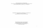 PROGRAMA DE GOBIERNO ALCALDIA DEL MUNICIPIO DE …cdim.esap.edu.co/BancoMedios/Documentos PDF/castillometapg2011.pdf · Al desarrollar mi programa de gobierno, “Un gobierno para