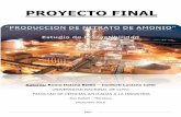 UNIVERSIDAD NACIONAL DE CUYO FACULTAD DE CIENCIAS ...bdigital.uncu.edu.ar/.../10521/proyecto-final-nitrato-de-amonio.pdf · Pág III Proyecto Final: PRODUCCIÓN DE NITRATO DE AMONIO