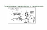Transferencia de material genético II: Transformación · Un estado ﬁsiológico en el que una célula es ... (no es secuencia específica) 3. Fragmentar y degradar la cadena ...
