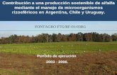 Contribución a una producción sostenible de alfalfa ... · •La alfalfa es un fuerte demandante de N, capaz de sustentarse a través del tiempo solo si un alto % de ese N lo toma