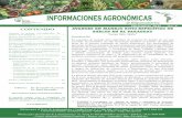 CONTENIDO AVANCES EN MANEJO SITIO-ESPECÍFICO DE … · 2015-06-25 · de la región mesopotámica argentina bajo uso forestal ... químicos del suelo mediante la realización de