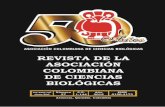 Revista de la Asociación Colombiana de Ciencias Biológicas · Holotipo: CAR625 (hembra: 94,1 mm L.E.). Colom-bia, Departamento de Santander. Quebrada La Quitaz, ... central de la