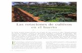 Las rotaciones de cultivos en el huerto - mapama.gob.es · Las rotaciones de cultivos en el huerto Texto: Mariano Bueno Bosch ... y a controlar las hierbas adventi-cias, plagas y