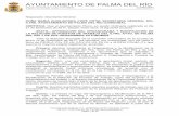 AYUNTAMIENTO DE PALMA DEL RÍO · AYUNTAMIENTO DE PALMA DEL RÍO (CÓRDOBA), CERTIFICA: ... adoptó, entre otros, el siguiente acuerdo: SEXTO.- APROBACIÓN DEL ORGANIGRAMA Y MODIFICACIÓN