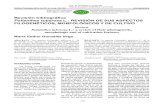 Revisión bibliográfica Polianthes tuberosa L.: REVISIÓN DE ...scielo.sld.cu/pdf/ctr/v37n3/ctr14316.pdf · n=30 (complejo Yucca-Agave) ... los mejoradores, los científicos, ...